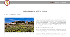 Desktop Screenshot of consorziovinicarmignano.it