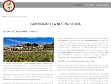 Tablet Screenshot of consorziovinicarmignano.it